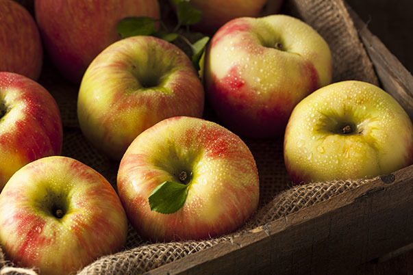 Honeycrisp apples